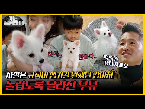 우유의 식분증은 식탐 때문이 아니다? 강형욱 훈련사의 예리한 분석! | 개는 훌륭하다 | KBS 211213 방송