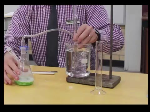 Video: Ce a determinat formarea bulelor când ați adăugat catalaza?
