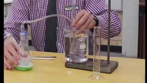 Catalase experiment