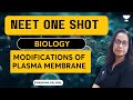 NEET ONE SHOT | Modifications Of Plasma Membrane | NEET UG | Swarnima