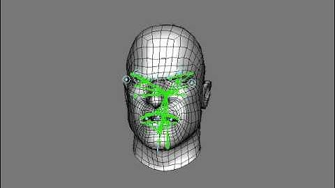 Facial Rig (joint based)