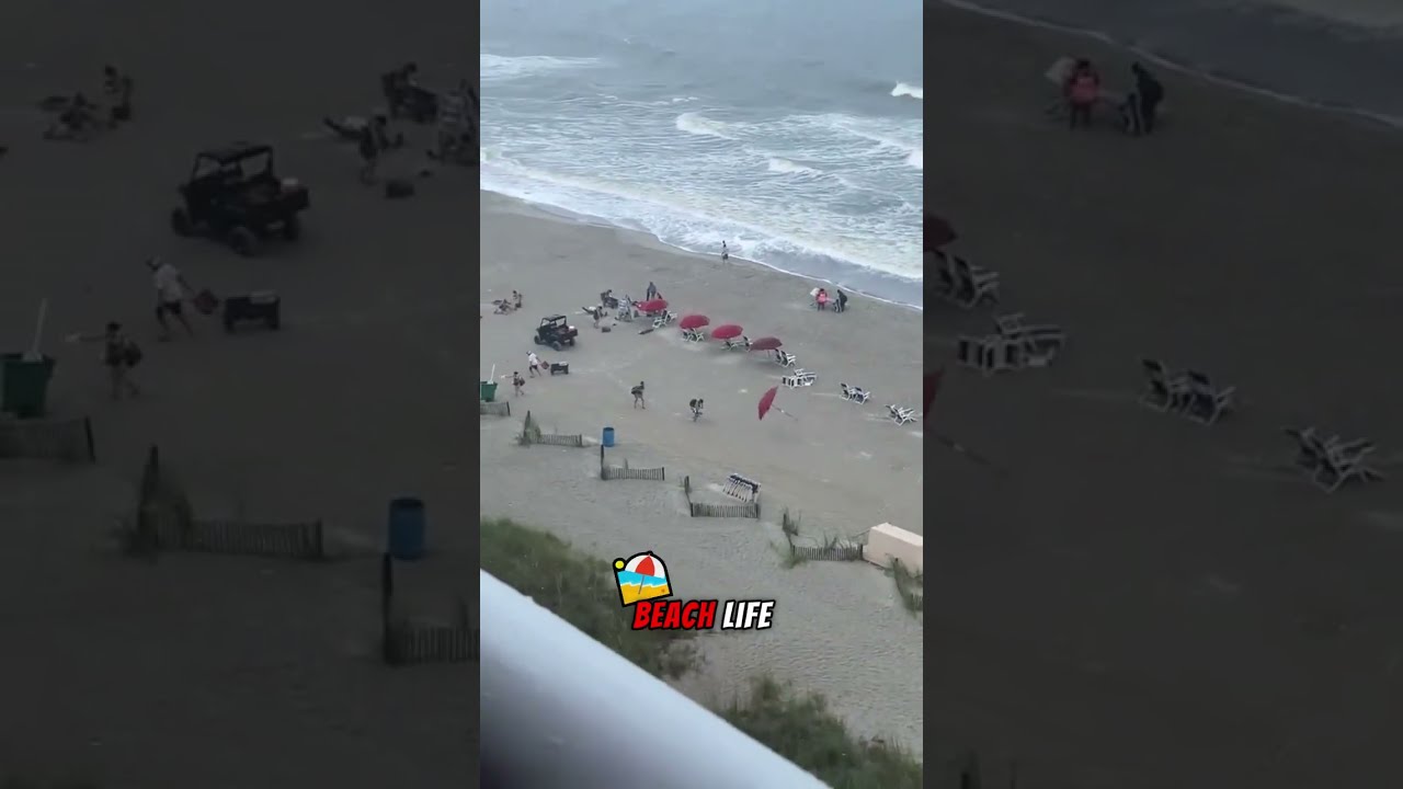 Beach Day Turned Into Umbrella Chase Funnyfail Beachlife Windyday Shorts Trending