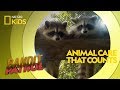 Wildlife Rehabilitation and Animal Behavior