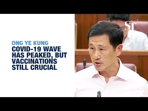 Covid-19 wave has peaked, but vaccinations still crucial: Ong Ye Kung | In Parliament