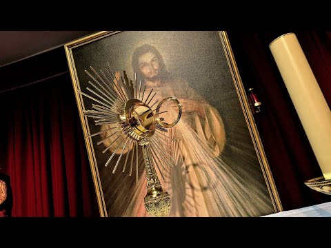 24 de Noviembre. Hora de la Misericordia EN VIVO