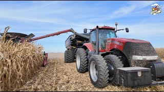 Corn & Soybean Harvest in Southern Darke County Ohio