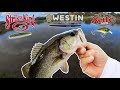 FLORIDA WINTER BASS FISHING LURES! STRIKE KING KVD NED OCHO, XCITE BAITS XB-1, & WESTIN STICK WORM.