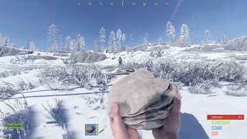 Average Rust Interaction