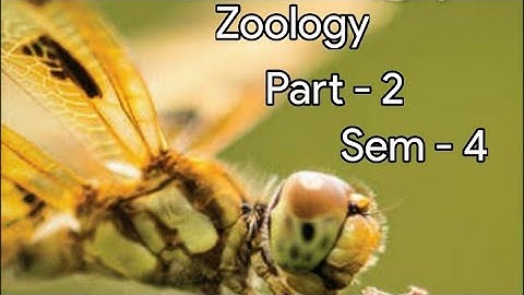 Kerala university BSc Botany previous questions - ZOOLOGY  -  ( sem - 4 ) Part - 2