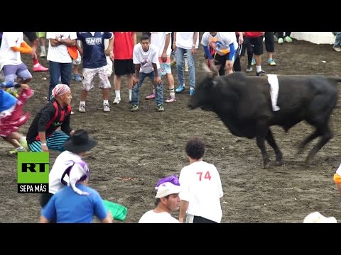 Arrancan las fiestas de Zapote con 333 toros en Costa Rica