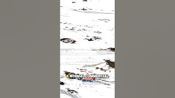 Antarctica’s “Commercial” Airport Explained (TNM)