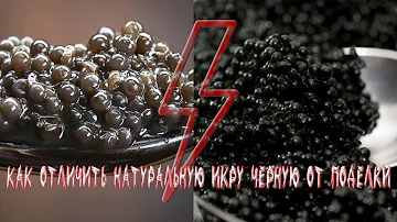 Как отличить черную икру от подделки - видео инструкция