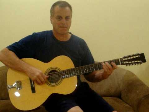 Brad Goodman Mississippi Blues-2 Stella 12 string ...