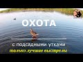 Охота на утку с подсадными. Только лучшие налёты и выстрелы