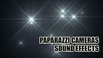 Paparazzi Camera Sound Effects 📸 Camera Sounds