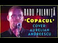 Radu Palaniţă 'Copacul | COVER: Aurelian Andreescu