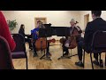 Concerto in g minor for two cellos