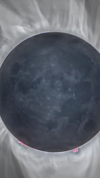 2024 HISTORIC Solar Eclipse: You Will Never See This Again! #shorts #eclipse #sun #space