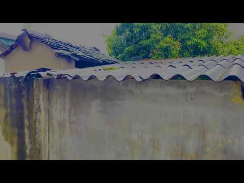 Dream with Rain & Thunder Sounds for Sleeping Help Study, PTSD, Insomnia & Tinnitus