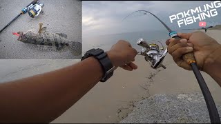 Casting Kerapu Pantai Pakai Soft Plastic Geli-Geli KN..