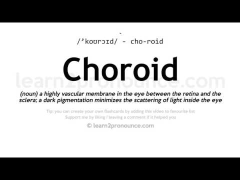 Произношение сосудистая оболочка | Определение Choroid