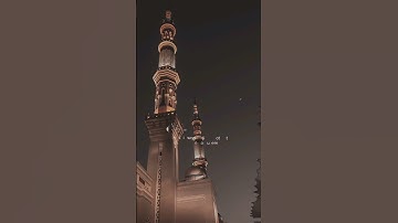 تلاوه من سورة العنكبوت | بصوت الشيخ ياسر الدوسري 🧡✨ #trending #قران_كريم