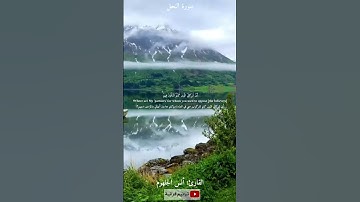 إن الخزي اليوم والسوء على الكافرين القارئ أنس جهلوم