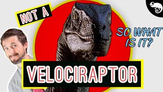 Which RAPTOR is Actually in Jurassic Park? (Hint: IT'S NOT VELOCIRAPTOR)