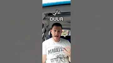 4 كلمات باللغة الهولندية للمبتدئين وسهلين هولندا لجوء الملك 