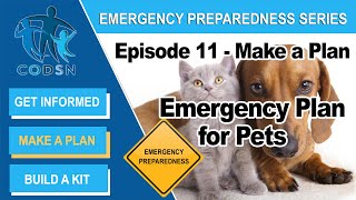 Emergency Preparedness Plan for Pets | CODSN