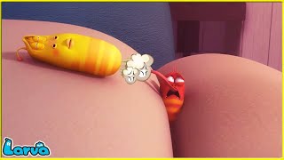 Larva Tuba - THẢ BOM - ẤU TRÙNG TINH NGHỊCH - PHIM HOẠT HÌNH HAY NHẤT 2022