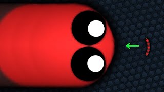 Slither.io Tiny Snake Becomes Giant !! Epic Slitherio Gameplay