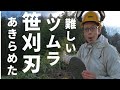 やっぱり山林用チップソーが一番でした