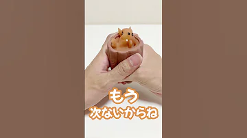 リスをイジメるとこうなる Shorts 