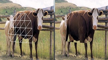 As-Rigid-As-Possible Shape Manipulation Practice in OpenCV