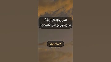 سورة القصص الآية ٢٠ الى ٢٢ بصوت الشيخ محمد صديق المنشاوي