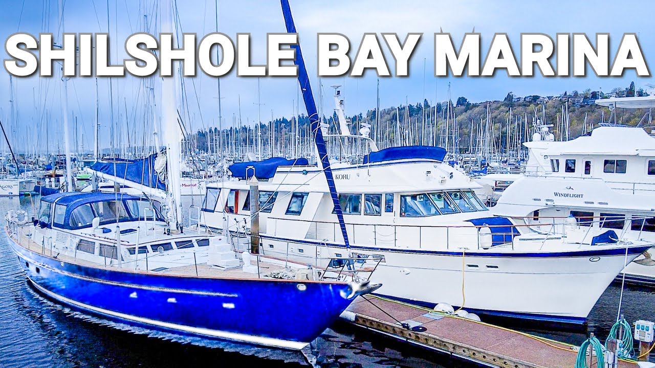 shilshole yacht sales