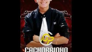 Raposa-Cachorrinho Do Brega