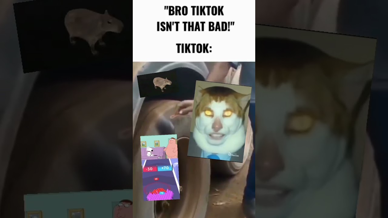 loja da bad cat｜Pesquisa do TikTok