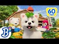 Bingo, Here We Go Round the Mulberry Bush + More Badanamu Nursery Rhymes | Kids Dance Songs &amp; Videos