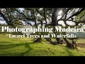 Gnarly Trees and Waterfalls - Photographing Madeira