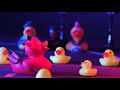 DUCKOWEEN: Halloween in Duckietown city