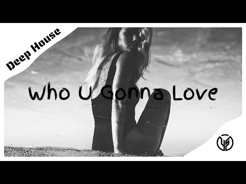 VIZE x Y3LLO KOALA - Who U Gonna Love (feat. Amber Van Day)