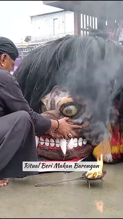 Ritual Beri Makan Barongan 🔥 #shorts #barongan #ritual #satriojoyo  #jaranan #jathilan #jawa