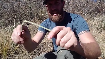 Yucca Cordage - How to make rope from Narrow Leaf Yucca