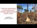 Ja 2023  amy zanne  termite sensitivity to temperature affects global wood decay rates