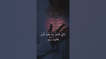 ماهر المعيقلي ❄️🤍 || تلاوة خاشعة || حالات واتس اب قرآن || #قرآن #quran