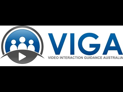 Video Interaction Guidance.