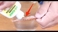 Does ProCure Gel Work On Gulp Baits?