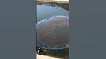 Thumbnail of How to throw a Cast net; Easiest To way it Perfectly  Every time# shorts 1